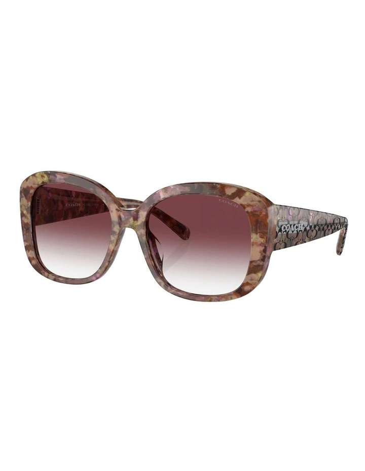 CH564 Sunglasses in Tortoise