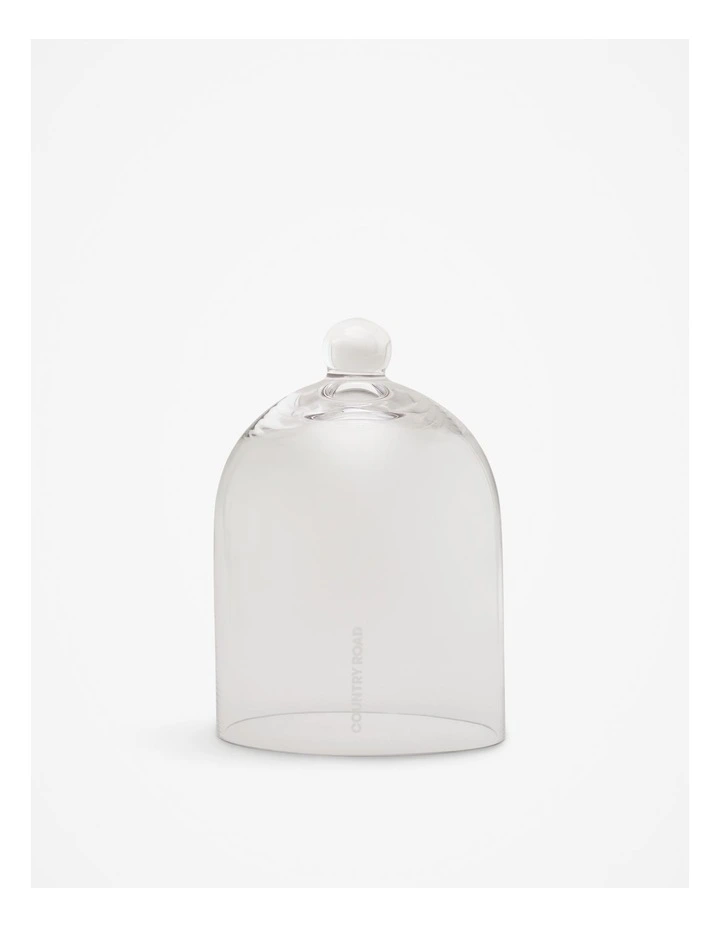 Dome Cloche in Clear