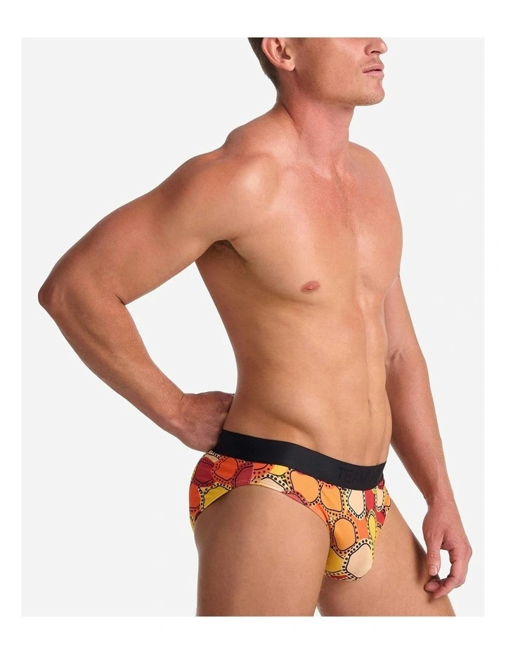 Gali Giba-Duran Brief in Multi
