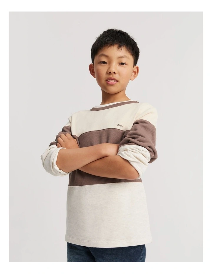Organically Grown Cotton Block Stripe T-shirt in Chocolate