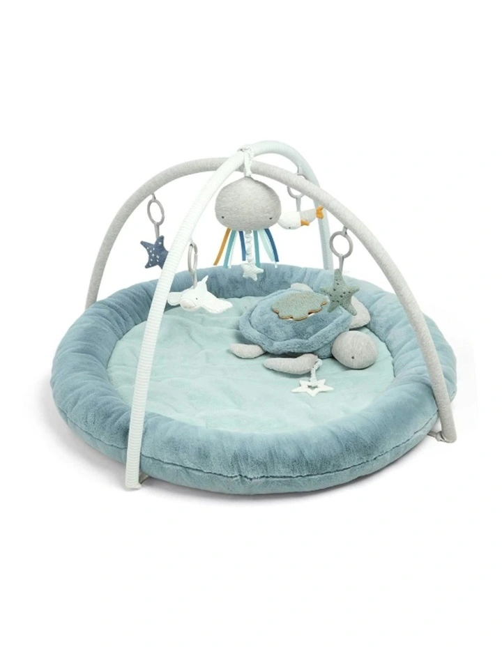Playmat & Gym Welcome to the World