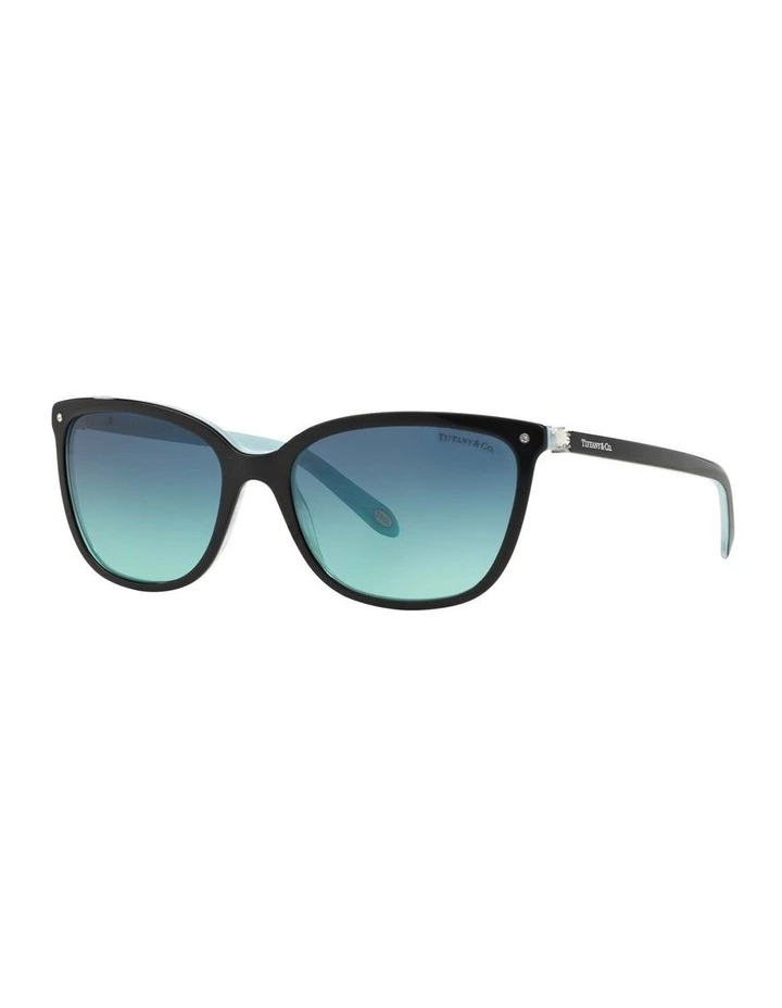 TF4105HB Black Sunglasses