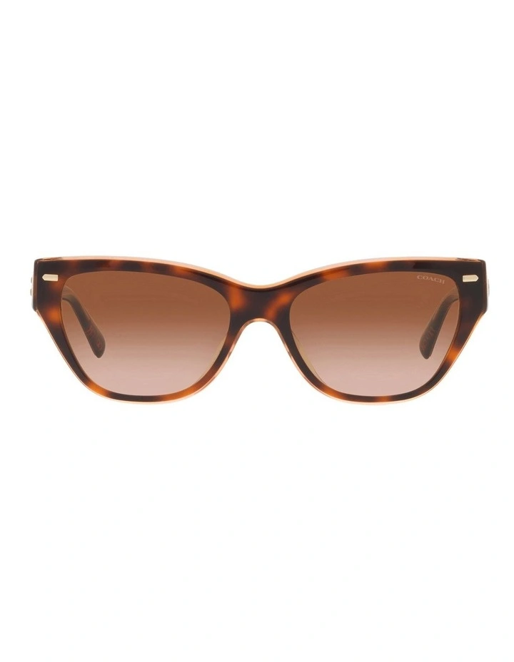 CH570 Sunglasses in Tortoise
