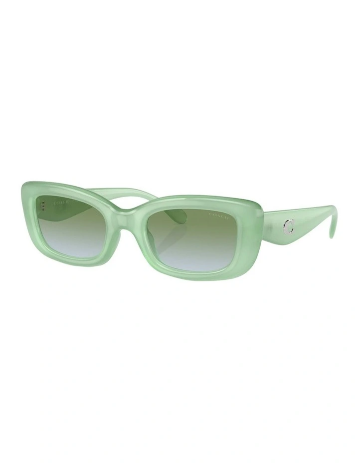 CR610 Sunglasses in Green