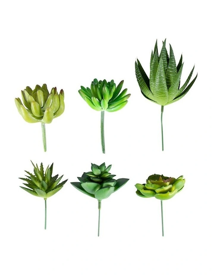Artificial Succulent Stem Set of 6 in Multi