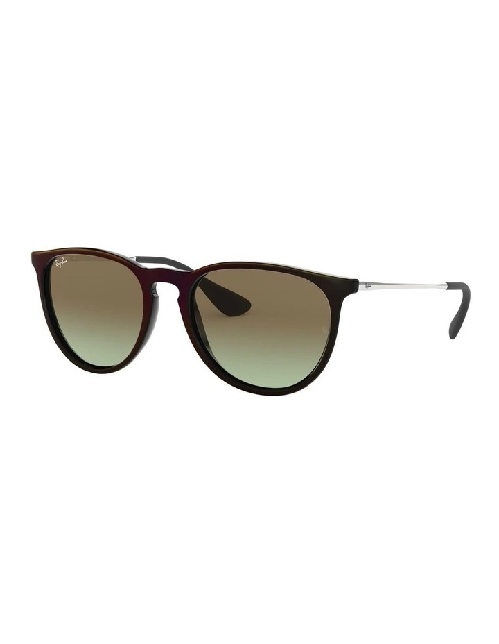 Erika Black RB4171 Sunglasses