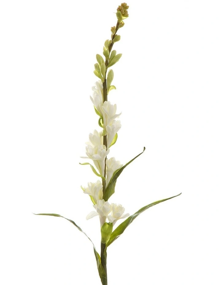 Tuberose Bud 80cm in Cream
