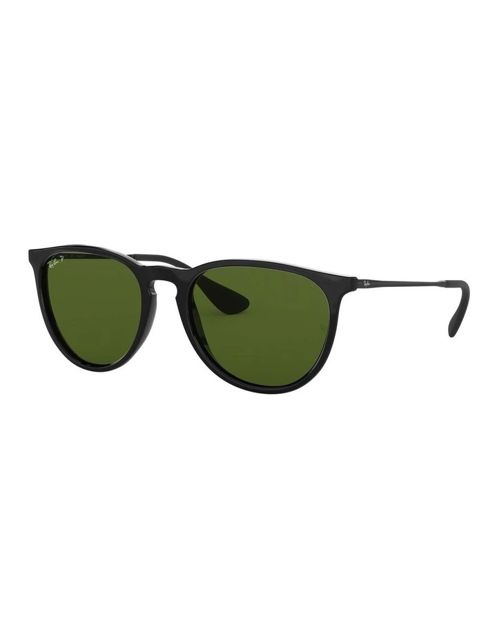 Erika Black RB4171 Polarised Sunglasses