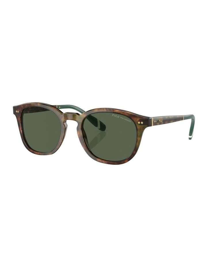 Polarised PH4206 Sunglasses in Tortoise