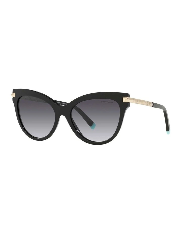 TF4182 Black Sunglasses