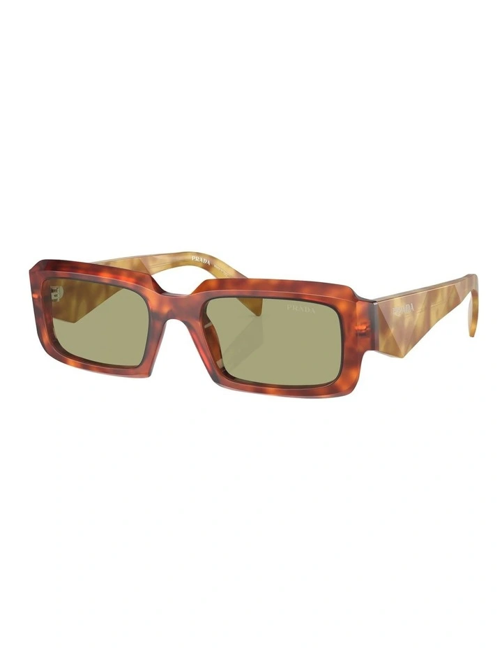 PR 27ZS Sunglasses in Brown