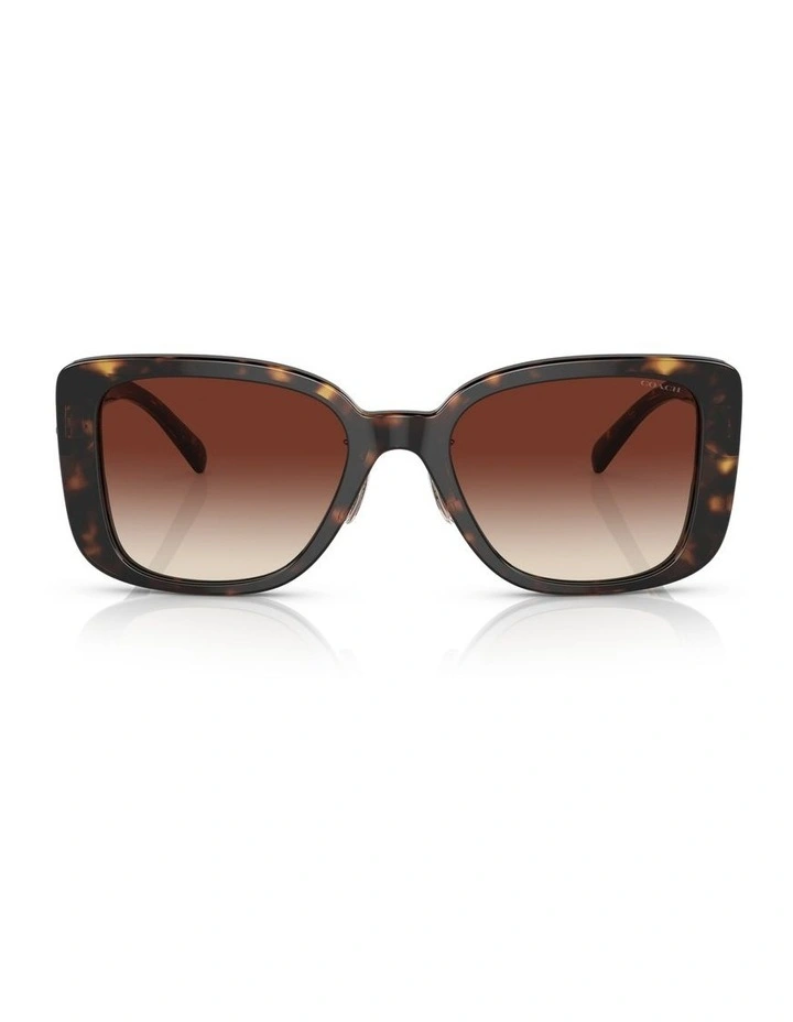 CD472 Sunglasses in Dark Tortoise