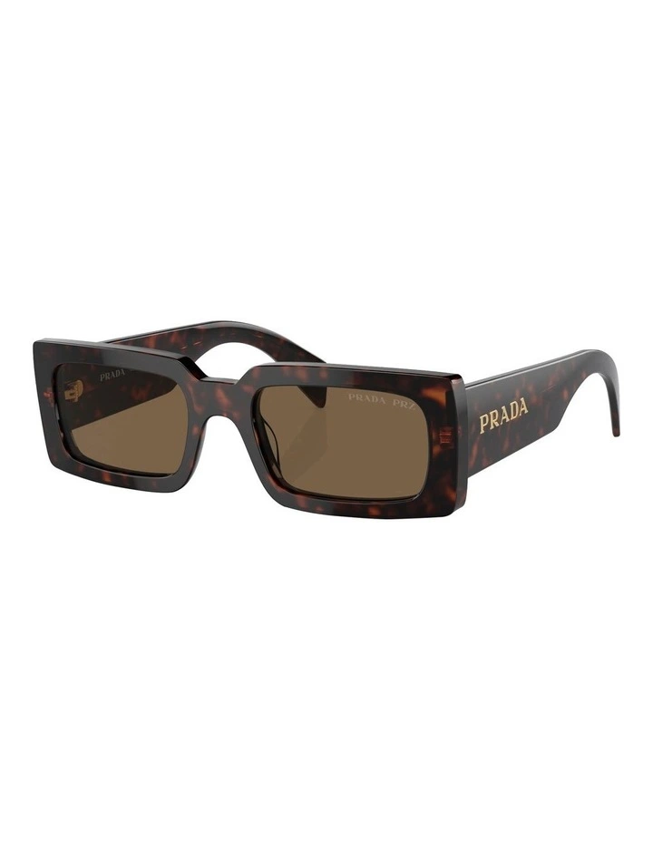 PR A07SF Sunglasses in Brown