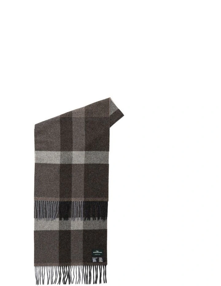 Jacobs River Scarf in Earth Multi