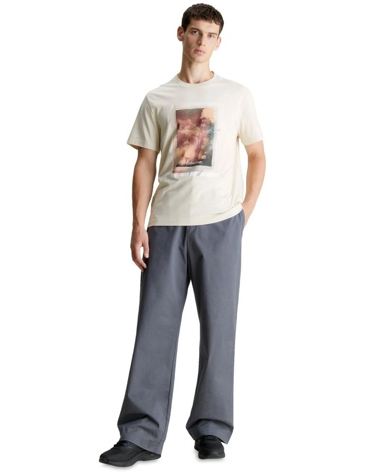 Photo Print T-shirt in Grey
