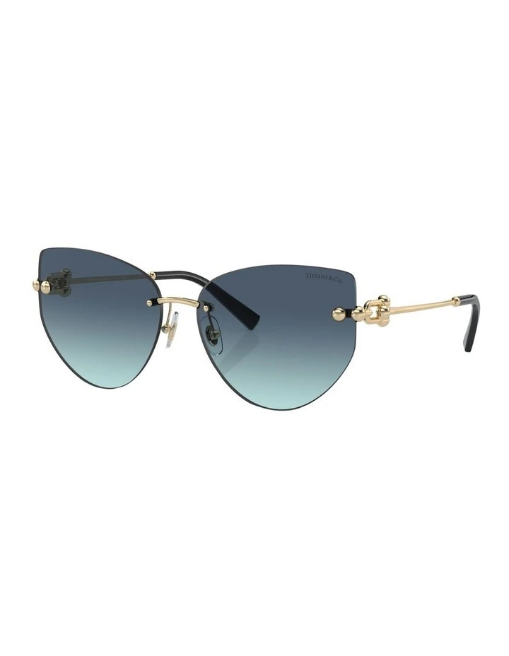 TF3096 Sunglasses in Gold