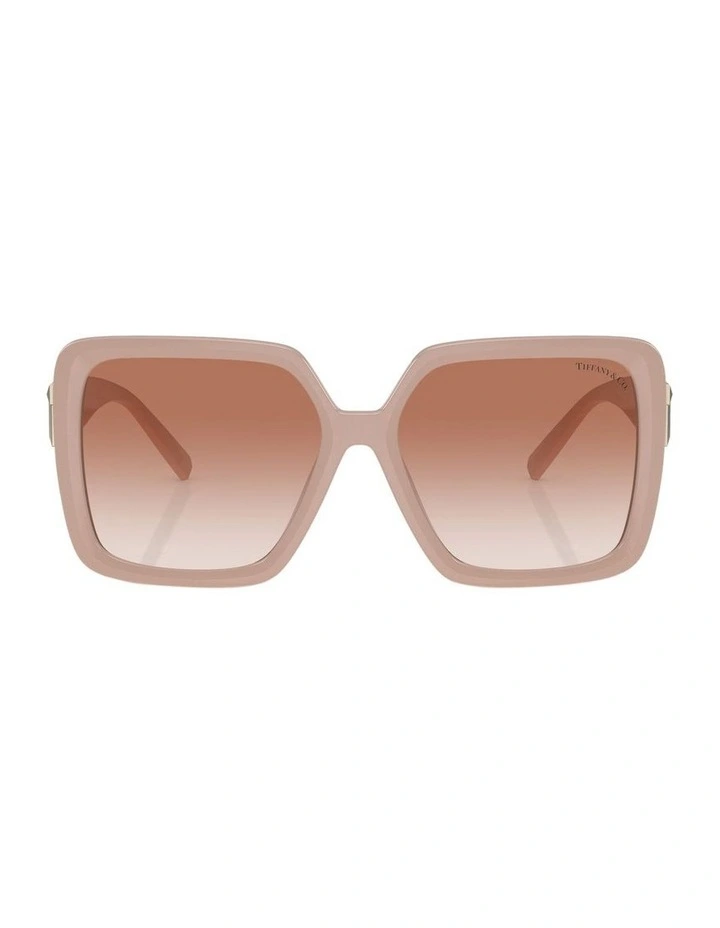 TF4206U Sunglasses in Pink