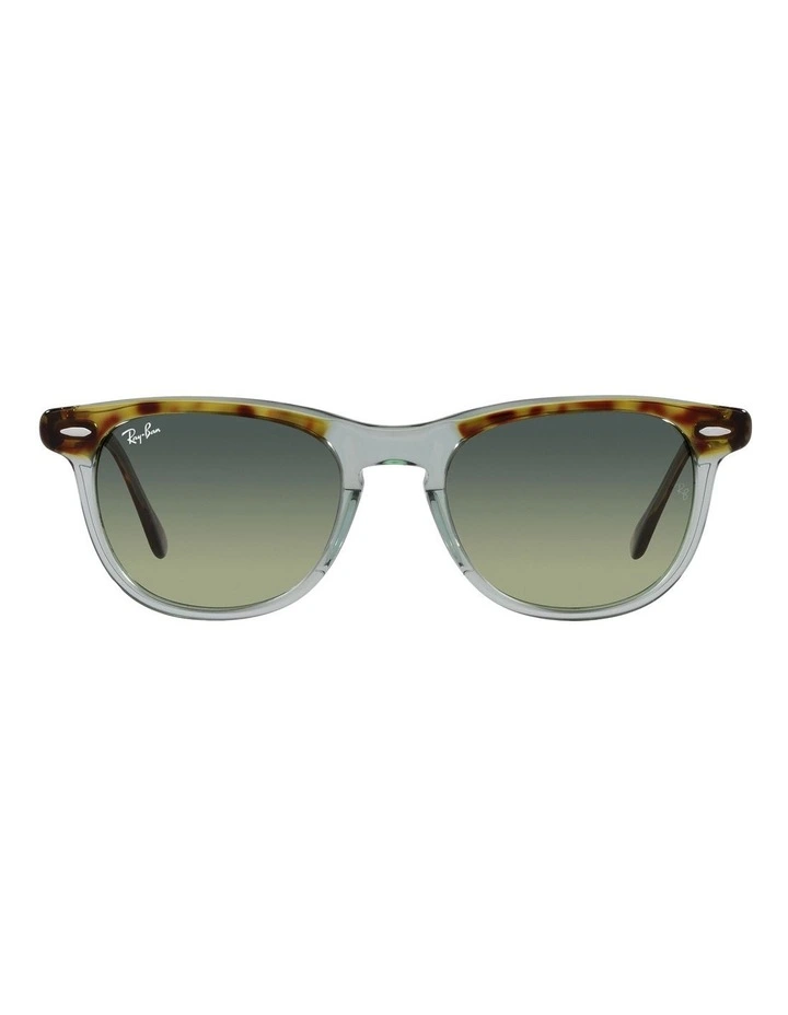 Eagle Eye Sunglasses in Brown