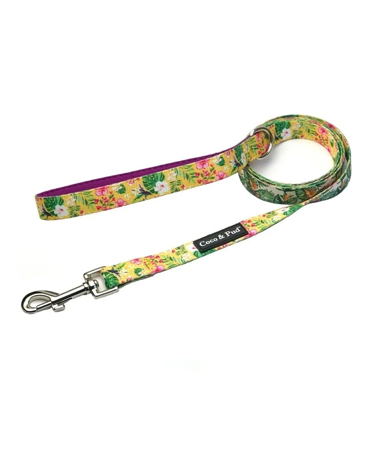 Summer Sunrise Reversible Dog lead/ Leash