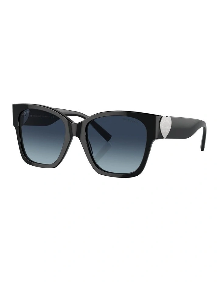 Polarised TF4216 Sunglasses in Black