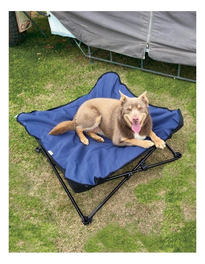 Dog Bed in Blue
