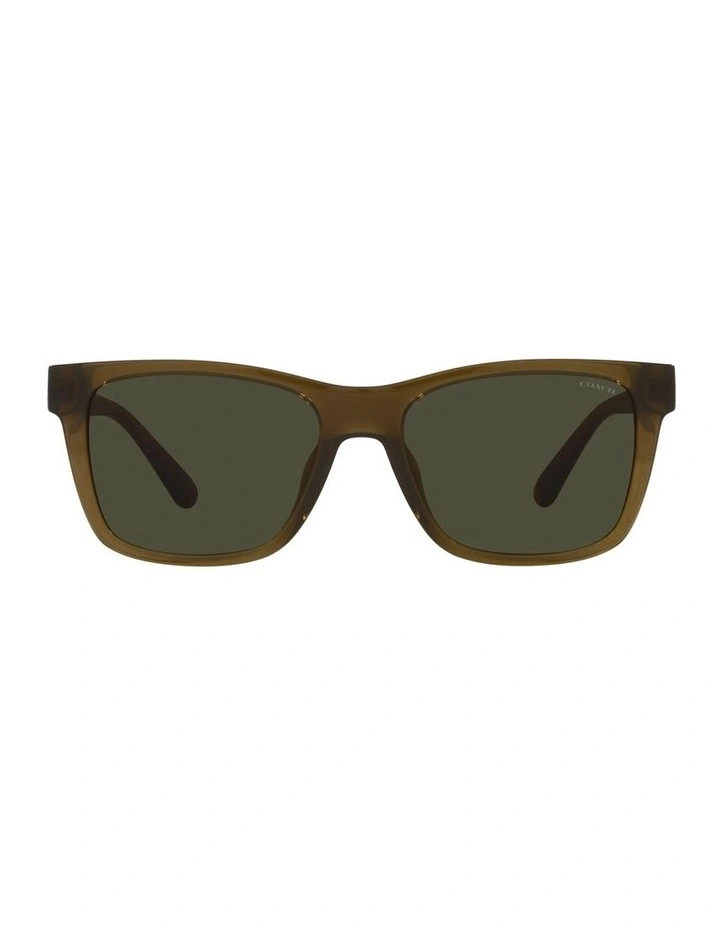 CD455 Sunglasses in Military Green