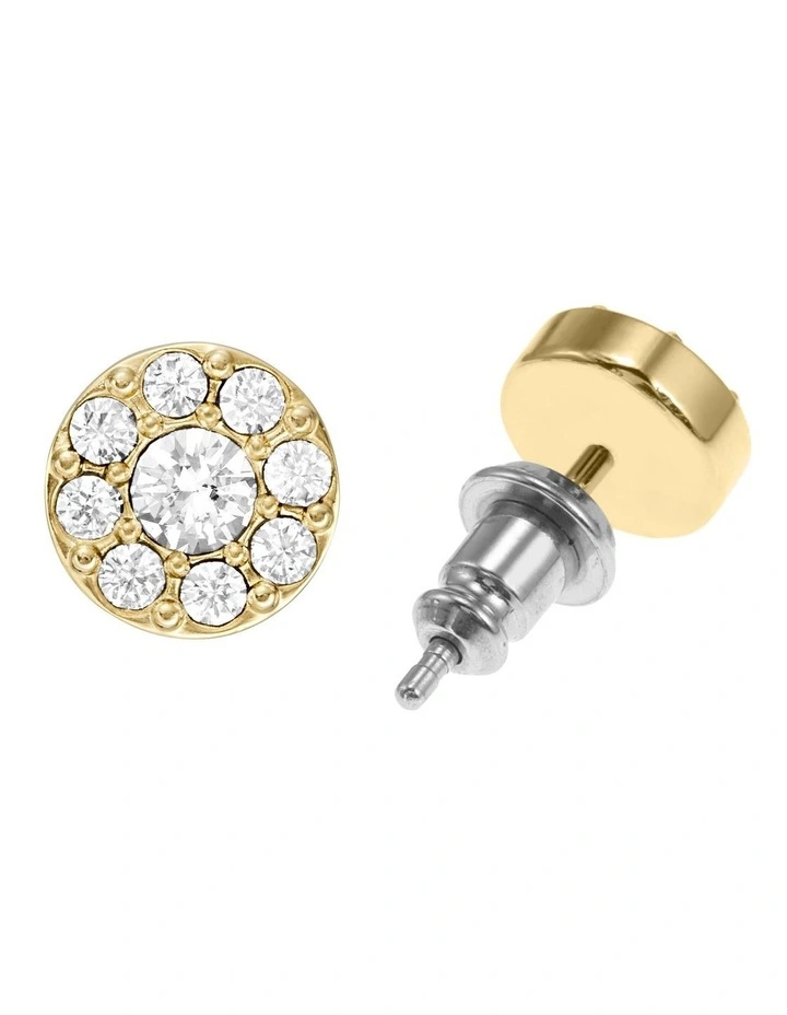 Jewelry Earring in Gold