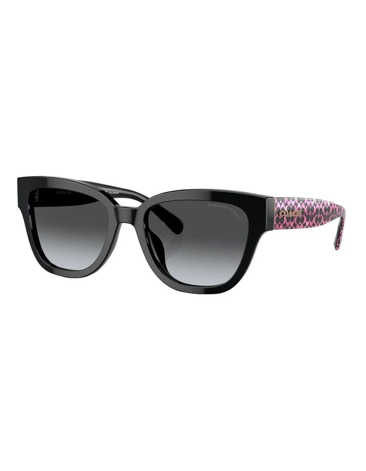 Polarised CL920 Sunglasses in Black
