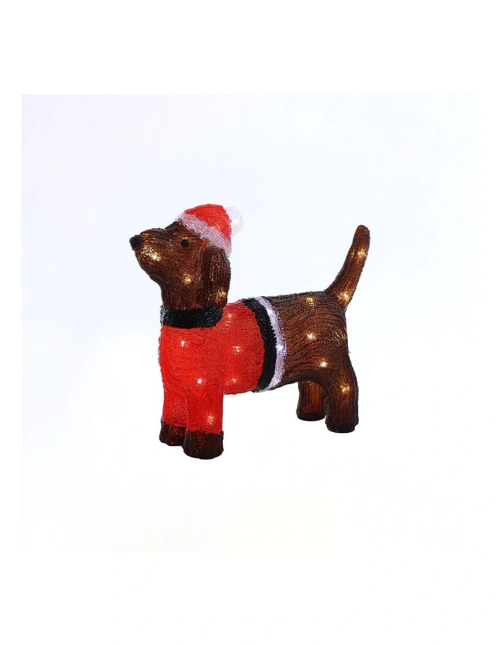 Acrylic Dachshund Dog H36cm