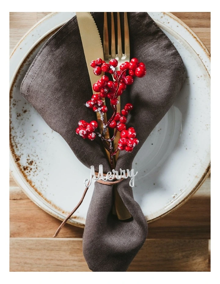 Napkin Rings Merry 4 Pack in Silver