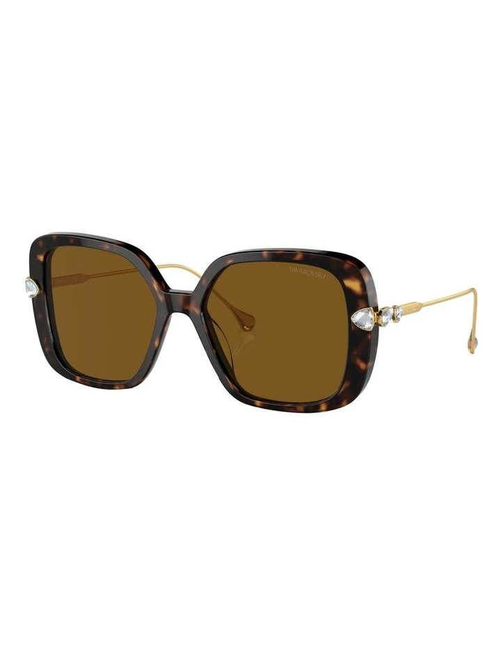 Polarised SK6011 Sunglasses in Tortoise