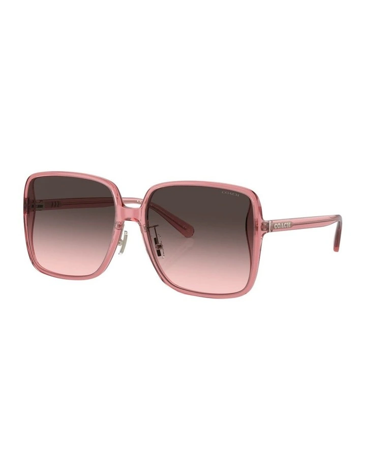 CH572 Sunglasses in Red