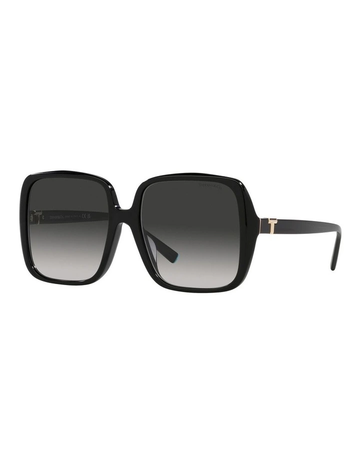 TF4211D Sunglasses in Black