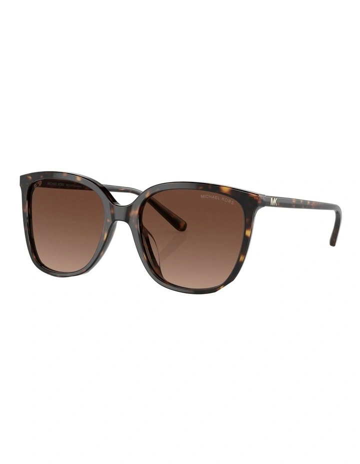 Anaheim Polarised Sunglasses in Tortoise