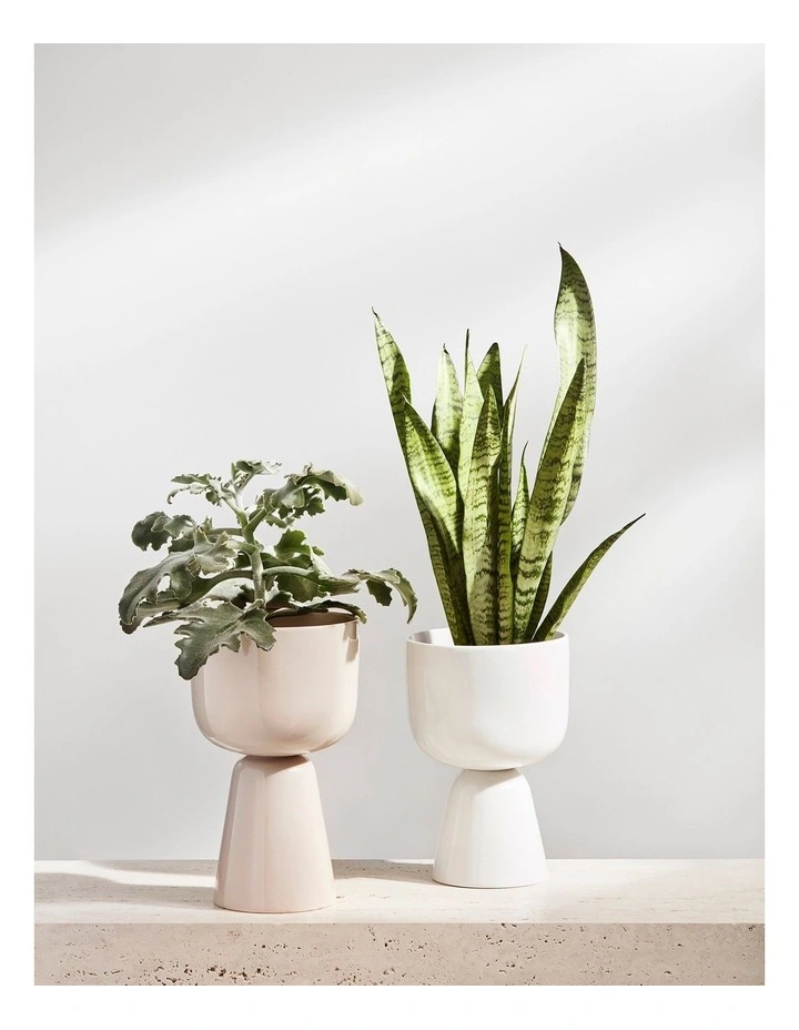 Nappula 23cm Plantpot White