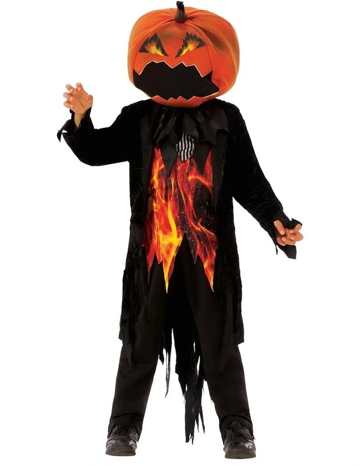 Mr Pumpkin Costume