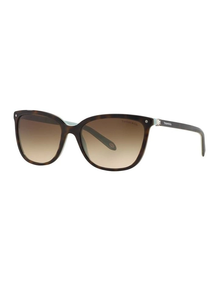 TF4105HB Tortoise Sunglasses