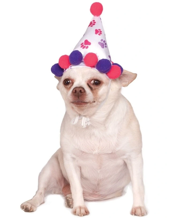 3x Rubies Paw Print Pet Birthday Hat Size M-L in Multi