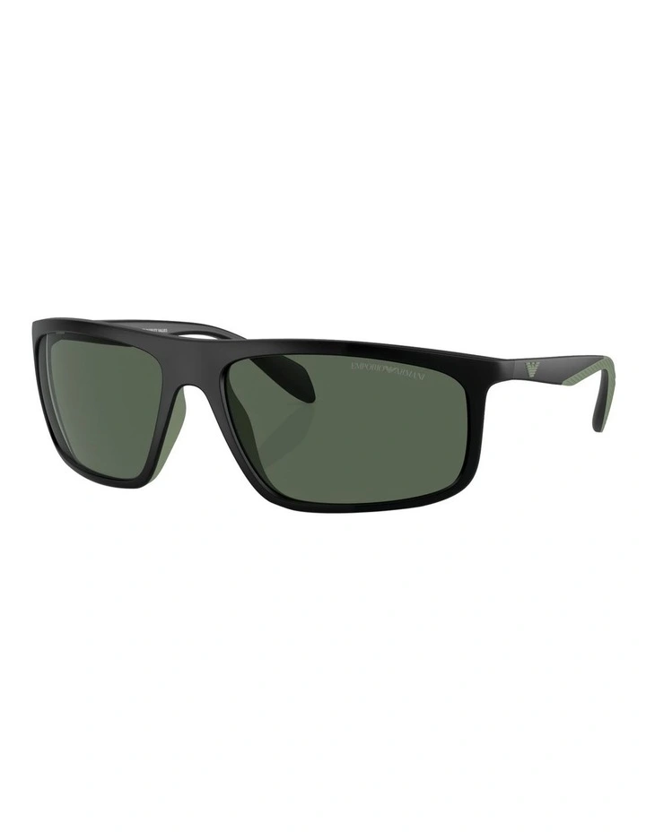 EA4212U Sunglasses in Black