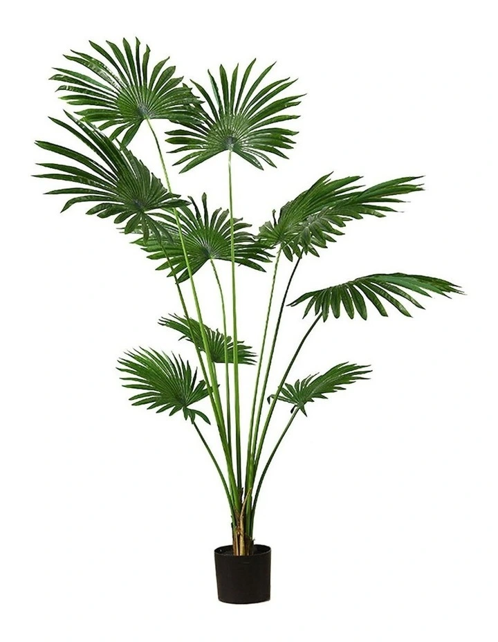 Artificial Fan Palm Tree 180cm in Assorted