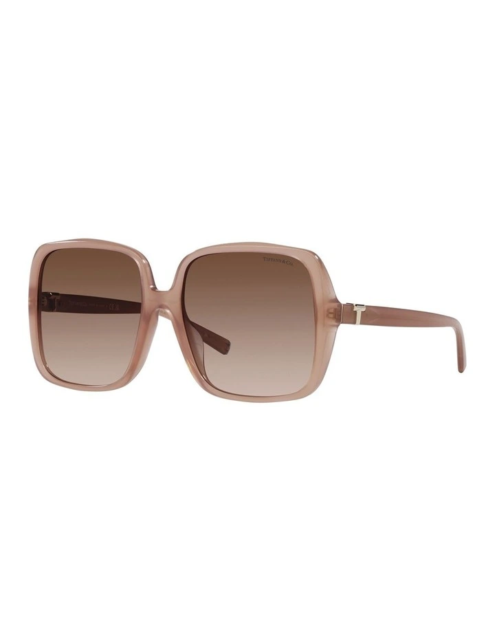 TF4211D Sunglasses in Pink