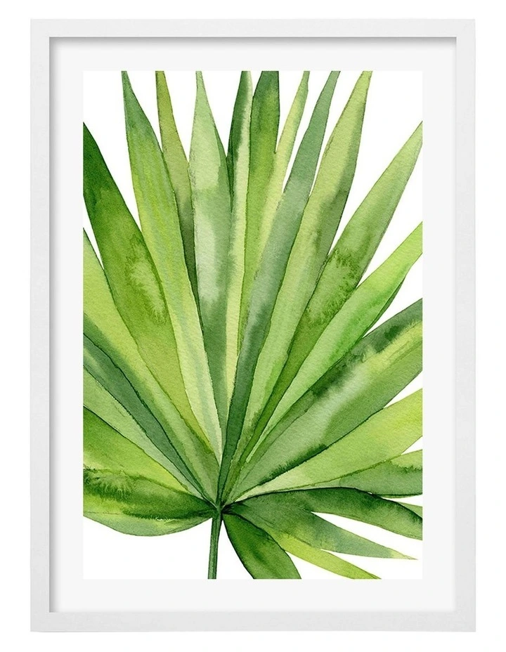 Australian Made Fan Palm Leaf Art Print A2 in White Frame