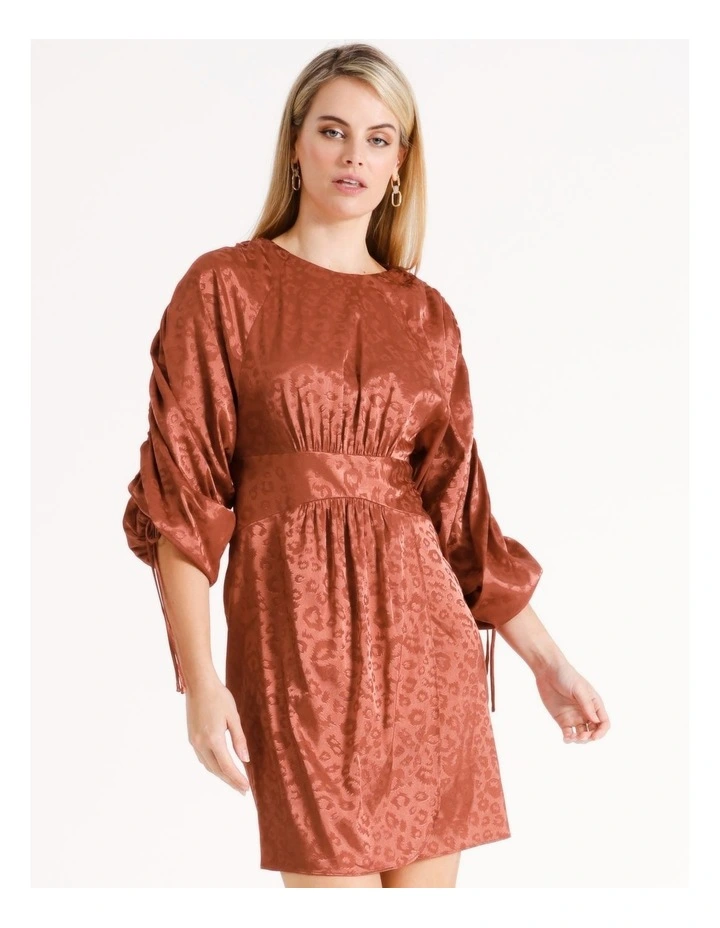 Ruched Sleeve Detail Dress in Brown