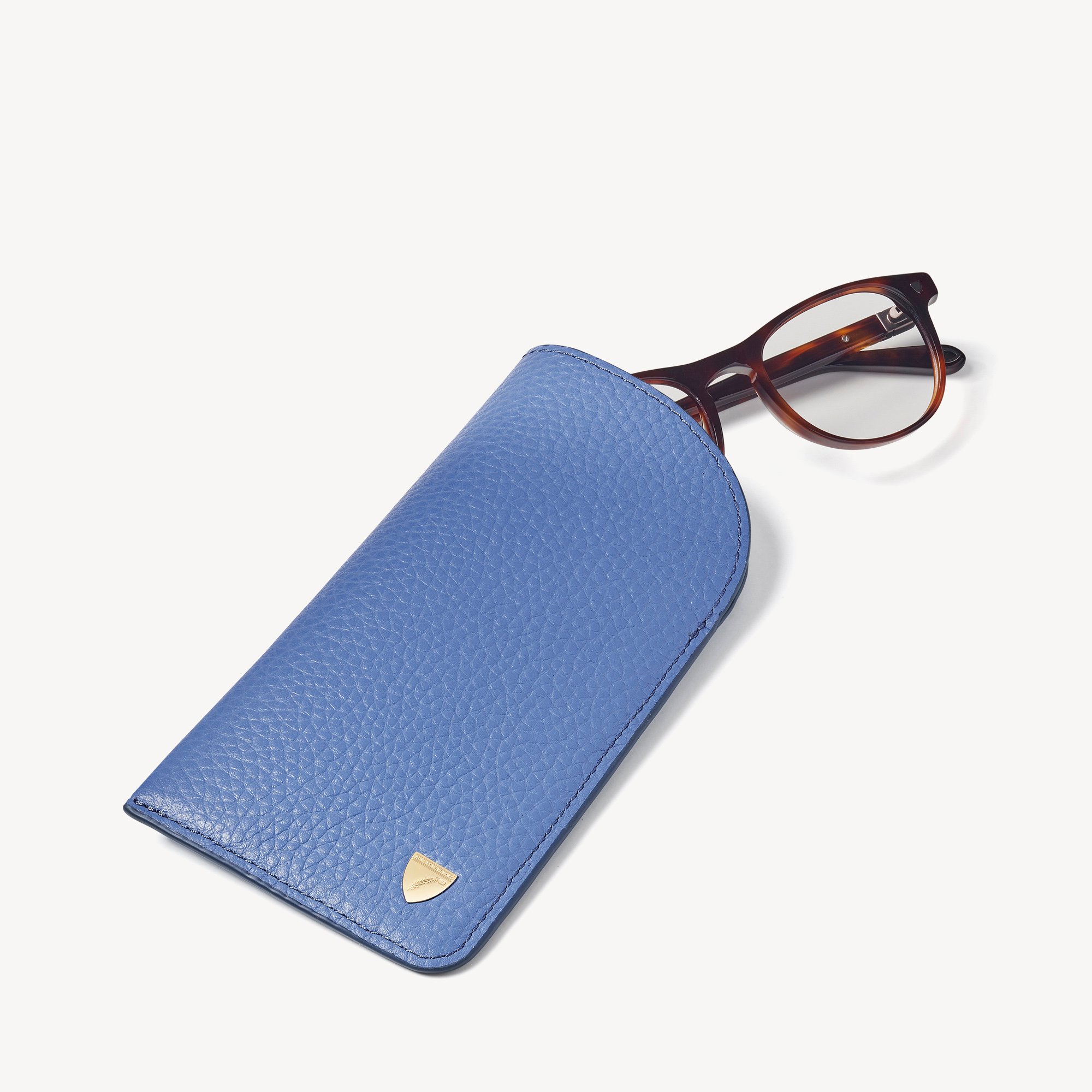 Glasses Case