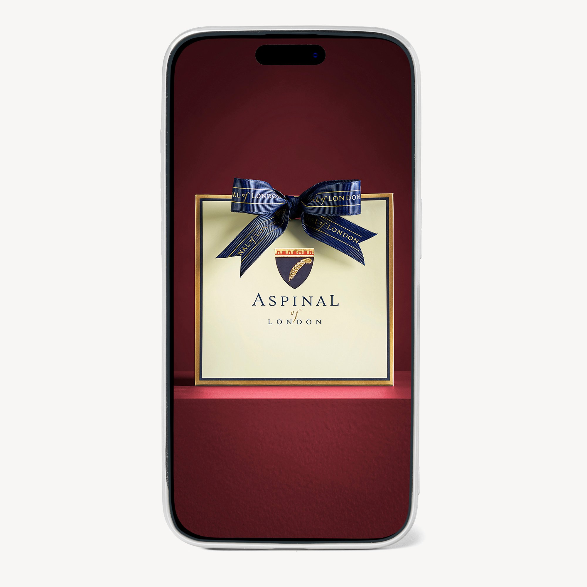 iPhone 15 Pro Max Case