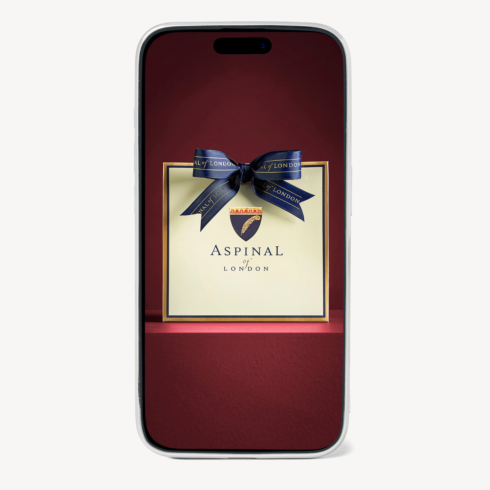 iPhone 15 Pro Max Case