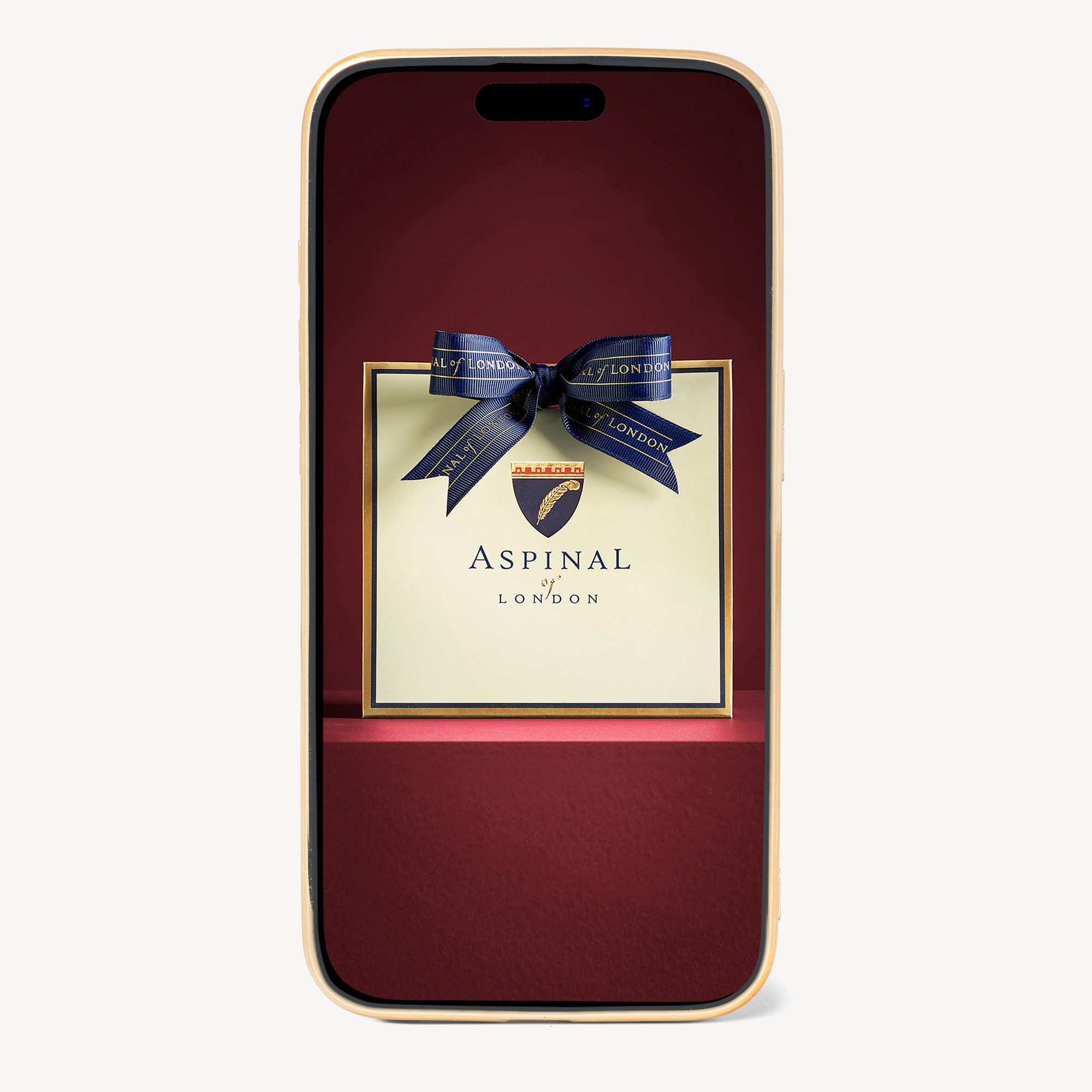 iPhone 15 Pro Max Case