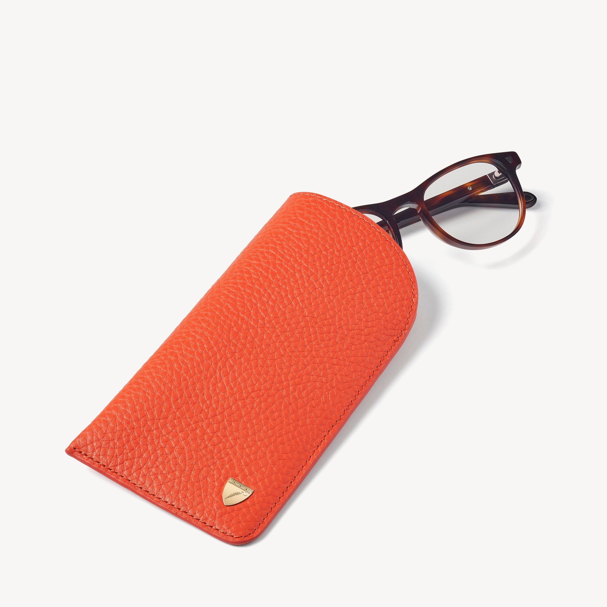 Glasses Case