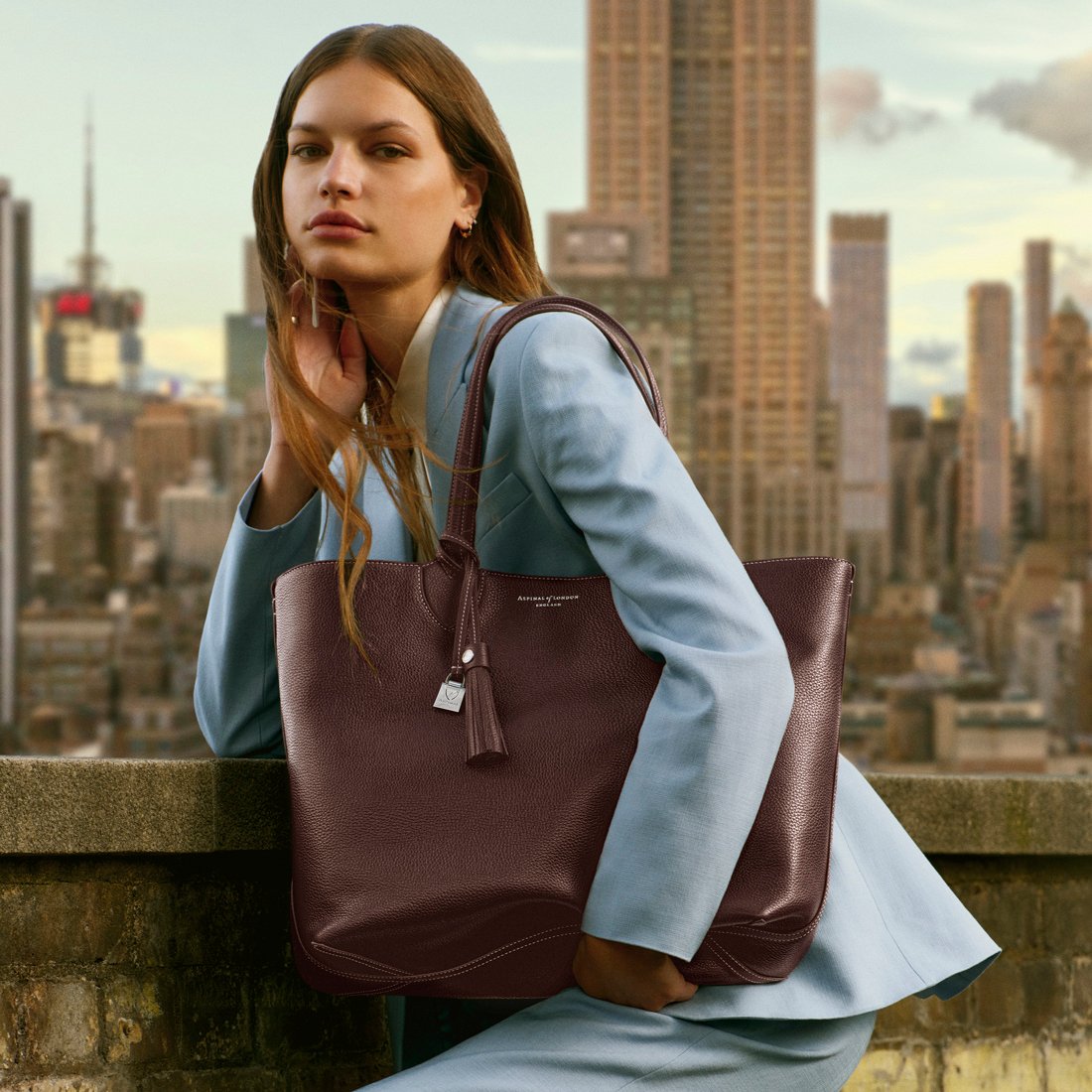 Hudson Tote
