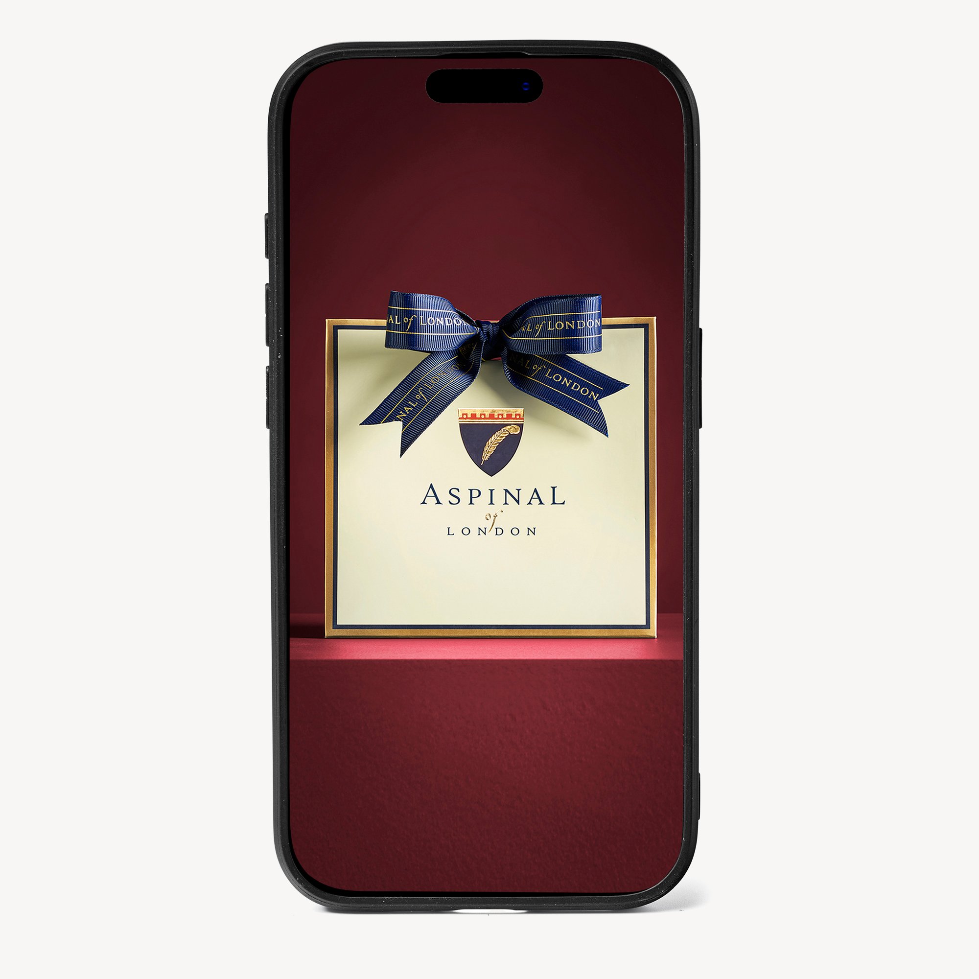 iPhone 15 Pro Max Case